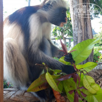 фото из отзыва ID 2173502