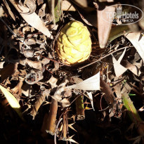 фото из отзыва ID 2173502