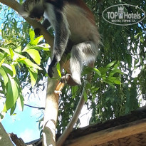 фото из отзыва ID 2173502