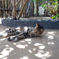 фото из отзыва ID 2173502