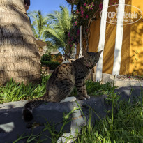 фото из отзыва ID 2173502