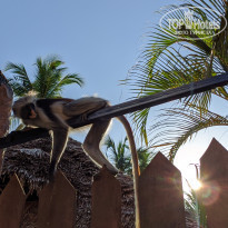 фото из отзыва ID 2173502