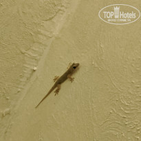 фото из отзыва ID 2173502