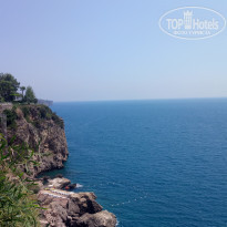 фото из отзыва ID 2173610