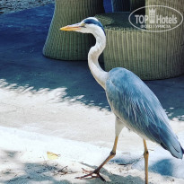 фото из отзыва ID 2173671