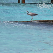 фото из отзыва ID 2173671