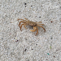 фото из отзыва ID 2173671