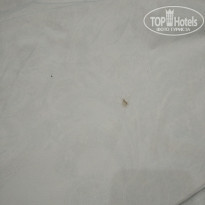 фото из отзыва ID 2173657