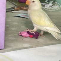 фото из отзыва ID 2173694