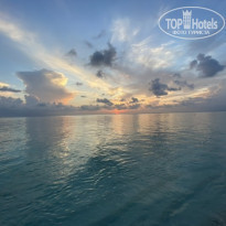 фото из отзыва ID 2173694