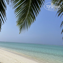 фото из отзыва ID 2173694