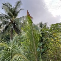 фото из отзыва ID 2173694