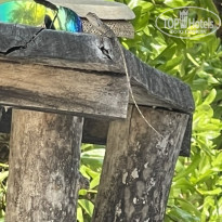 фото из отзыва ID 2173694