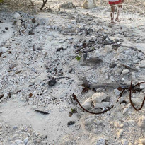 фото из отзыва ID 2173682