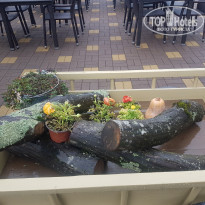 фото из отзыва ID 2173907