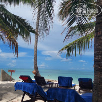 фото из отзыва ID 2173949