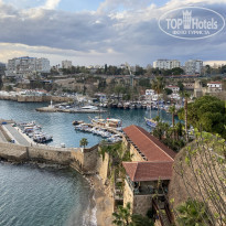 фото из отзыва ID 2173964