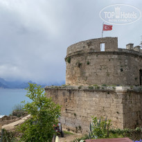 фото из отзыва ID 2173964