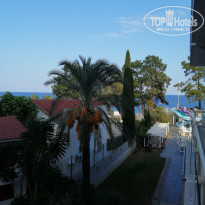 фото из отзыва ID 2174074