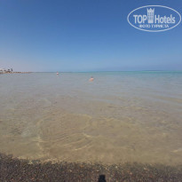 фото из отзыва ID 2174101