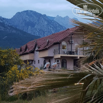 фото из отзыва ID 2173712