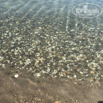 фото из отзыва ID 2174170