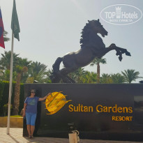 фото из отзыва ID 2174182