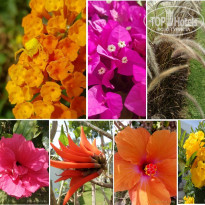 фото из отзыва ID 2174182