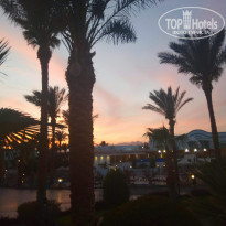 фото из отзыва ID 2174182