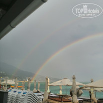 фото из отзыва ID 2174332