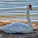фото из отзыва ID 2174498