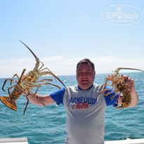 фото из отзыва ID 2171848