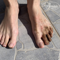 фото из отзыва ID 2174585