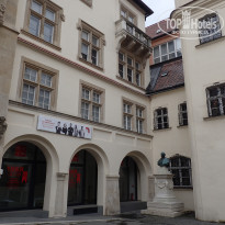 фото из отзыва ID 2174614