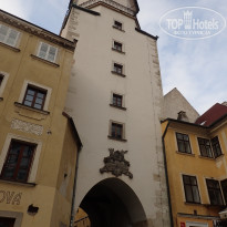 фото из отзыва ID 2174614