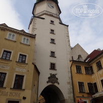 фото из отзыва ID 2174614