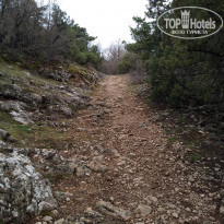 фото из отзыва ID 2174861