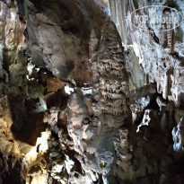 фото из отзыва ID 2174861