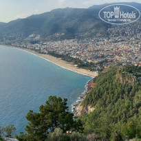 фото из отзыва ID 2174890