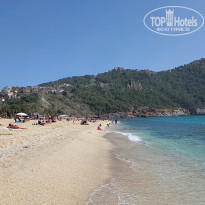 фото из отзыва ID 2174890