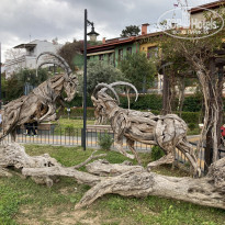 фото из отзыва ID 2174892