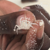 фото из отзыва ID 2175040