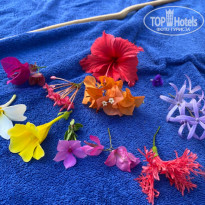 фото из отзыва ID 2175040