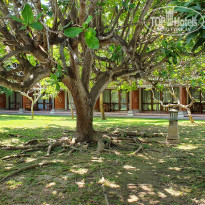 фото из отзыва ID 2174946