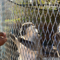 фото из отзыва ID 2175186