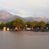 фото из отзыва ID 2175534