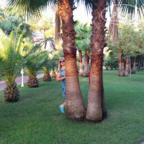 фото из отзыва ID 2175534