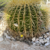 фото из отзыва ID 2175640