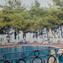 фото из отзыва ID 2175634