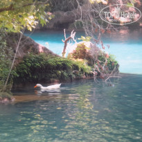 фото из отзыва ID 2175709